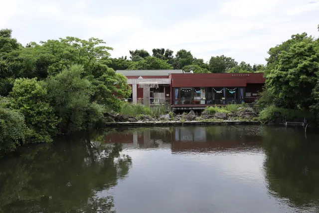 Mizumoto Kawasemi no Sato