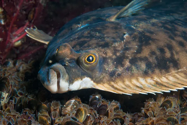 Living Seas Events Centre