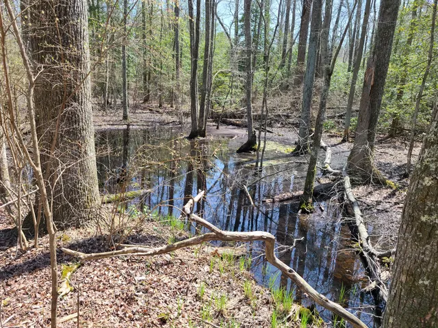 Warren E. Fox Nature Center