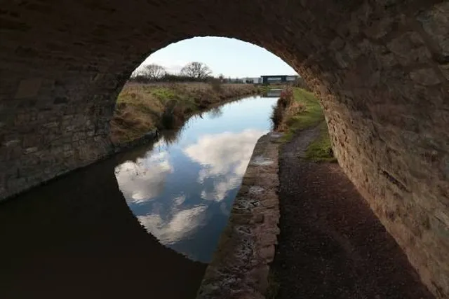 photo-1