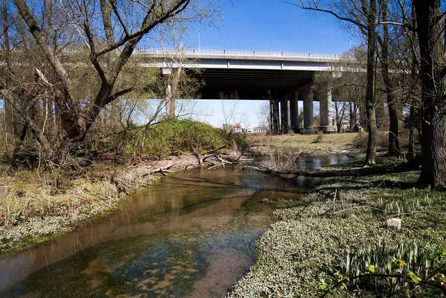 Eiland van Brienenoord