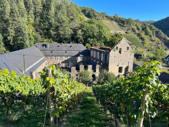 Weingut Kloster Marienthal