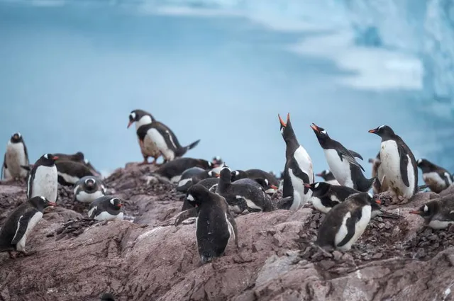 Vadászati és Modellvasút Múzeum