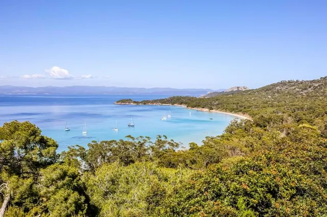 Emmanuel Lopez Garden