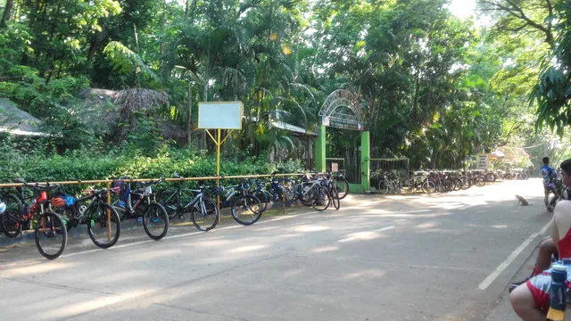 Tree House Bike Park