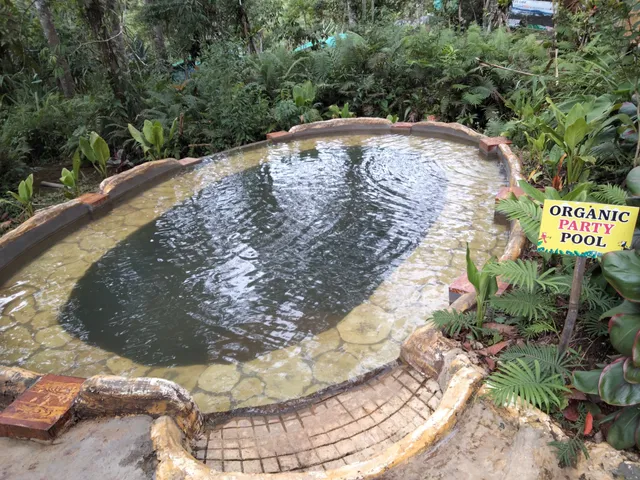 ClaudMaru Rainforest