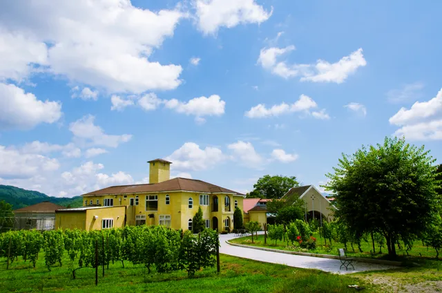 St.Cousair Winery & Vineyards