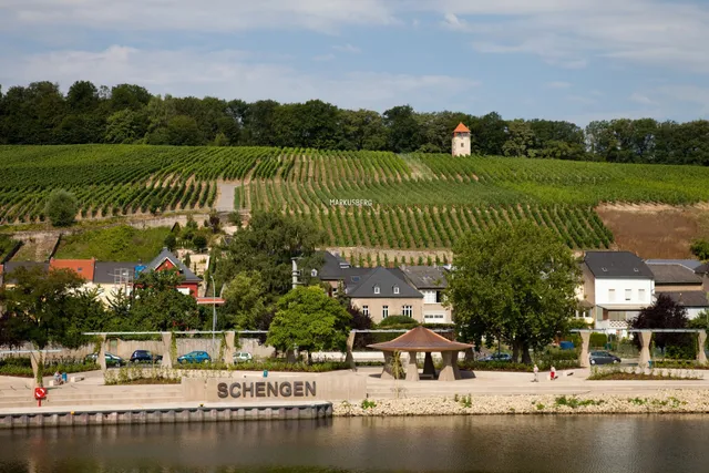 Gloden Lucien Cellars