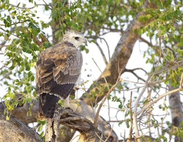 river world purbalingga