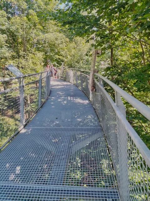 Scheldt Plain Nature Park House - A Forest Halt