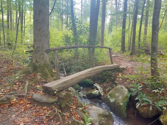 Grassy Branch Trail