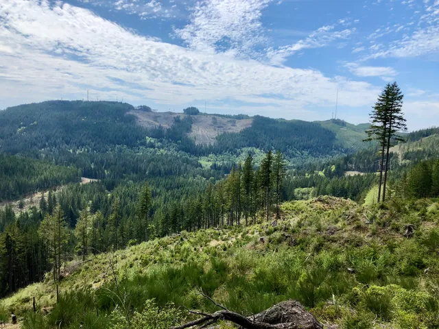 Green Mountain Horse Camp