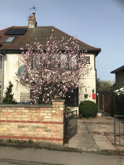 Harry's Bed and Breakfast