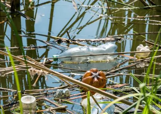 Mavrobara Turtle Lake