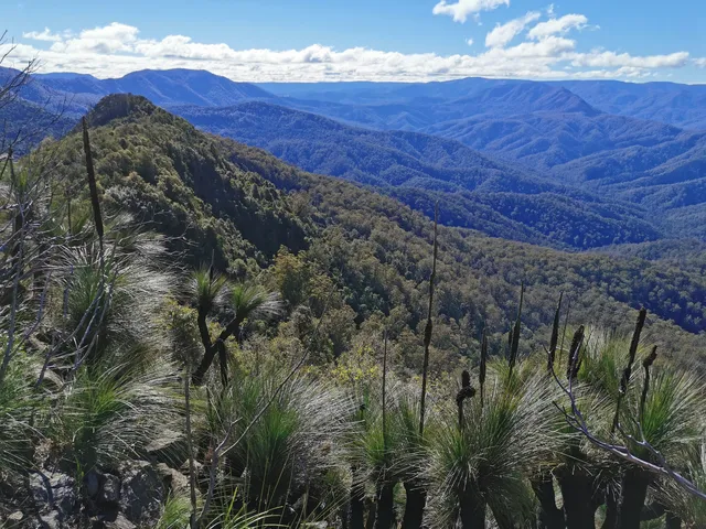 Mount Royal National Park