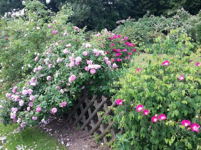 Rosenpark Reinhausen