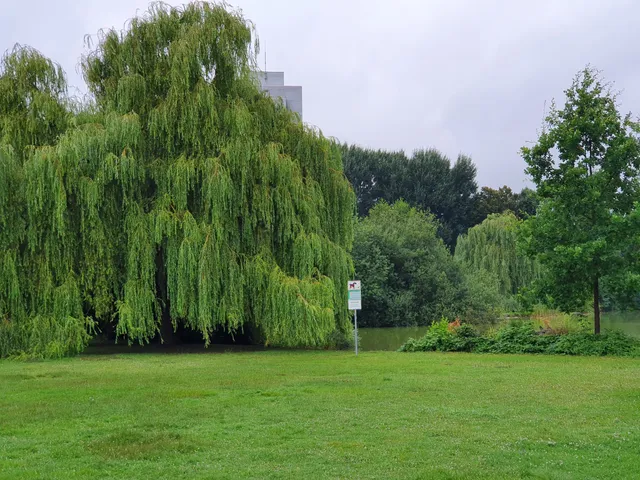 Martin-Luther-King-Park