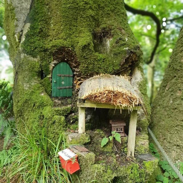 Tanglewood Wild Garden