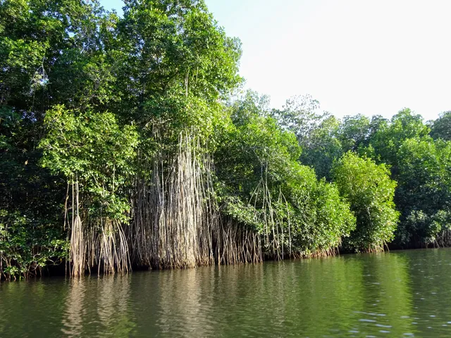 Sipacate Naranjo National Park