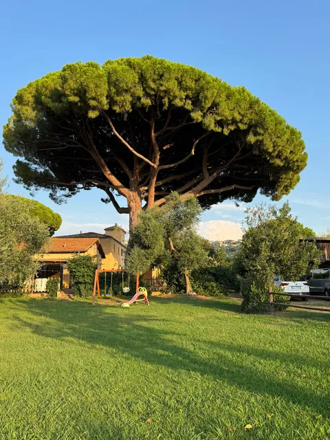 Agriturismo Il Vignone