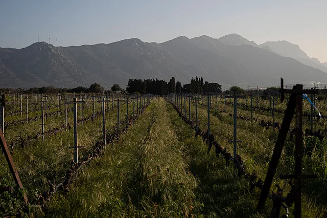 Ktima Akrani (Triantafyllopoulos Winery)
