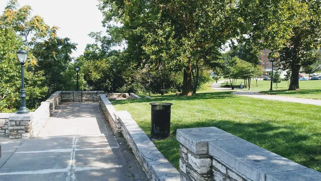 Ermine Case Junior Park