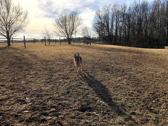 Wolf Run Regional Park