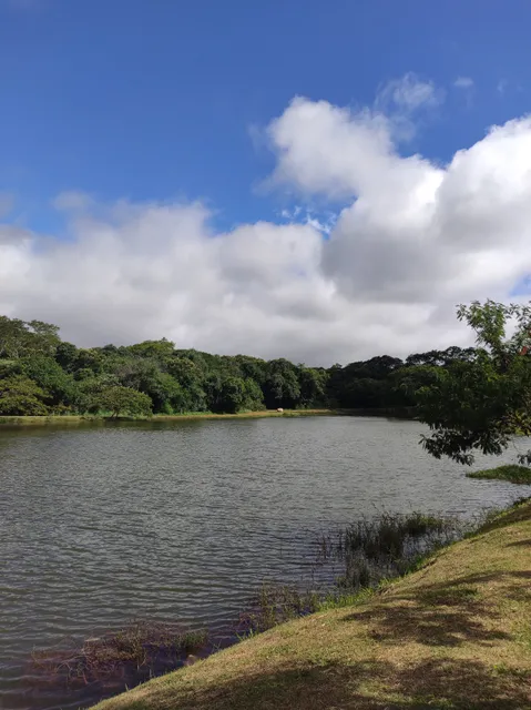 Parque Ecológico Collemar de Miranda Botto