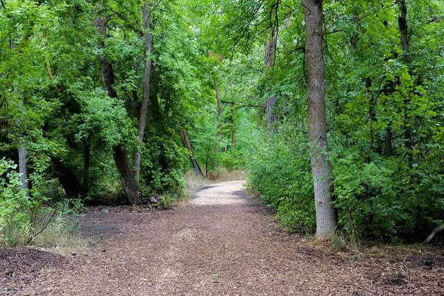 The Gailey Trail at Nicholls Park