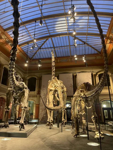 Museum für Naturkunde