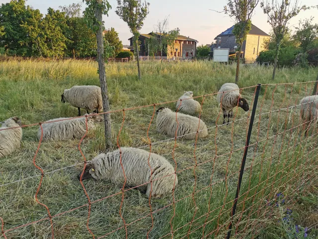 Landschaftspark Johannisthal/Adlershof