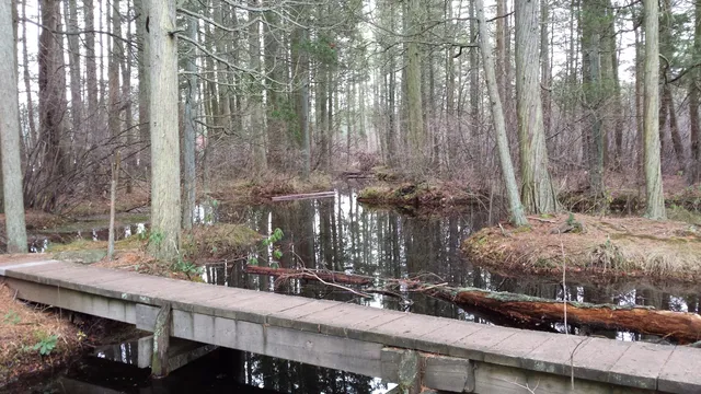 Wells Mills County Park