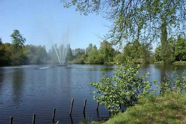 Ellernteich
