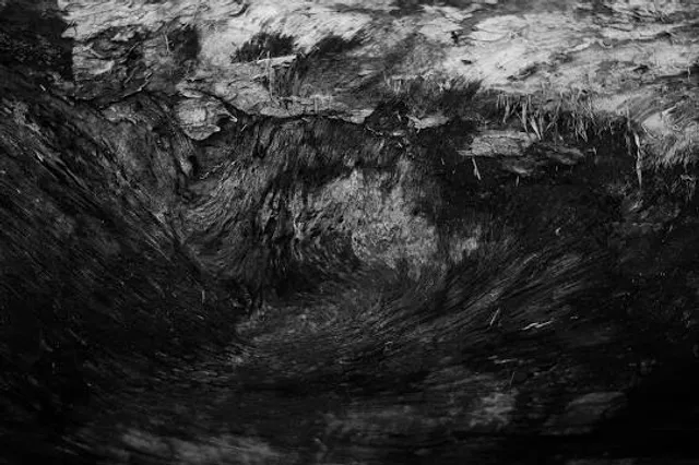 photo-3