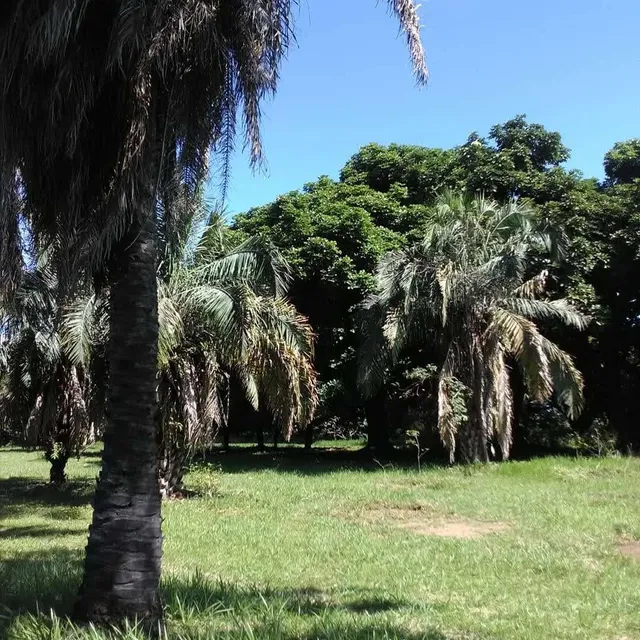 Jardín Botánico de la UNELLEZ