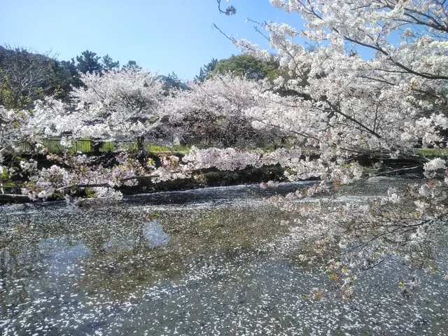 Goyunomatsunamiki Park