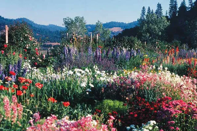 Alan Chadwick Garden