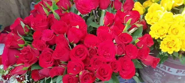 Shrew Sagar Resturant