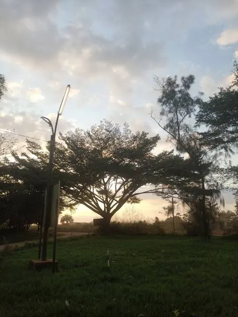 Jardin Botanique de kisantu
