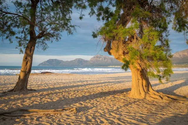 Platja de Son Serra de Marina
