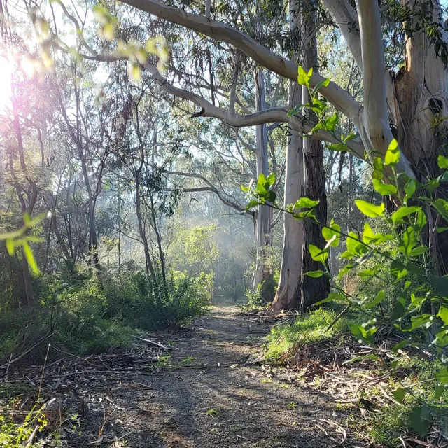 Nangak Tamboree Wildlife Sanctuary