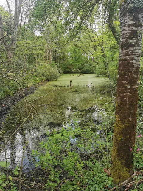 Arboretum du Chêne-Vert