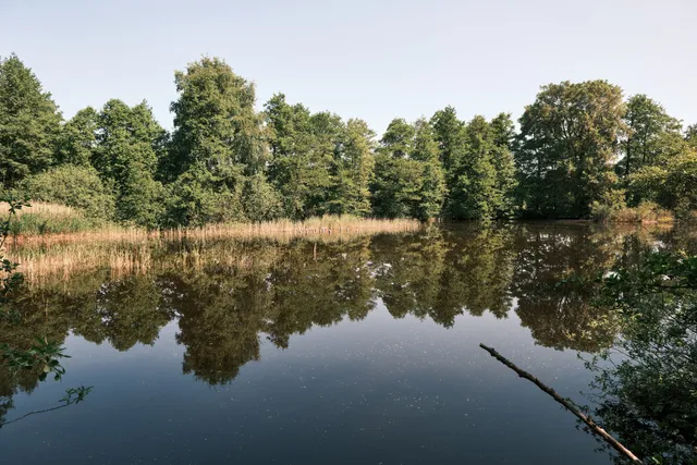 Moorerlebnispfad Zarrentin