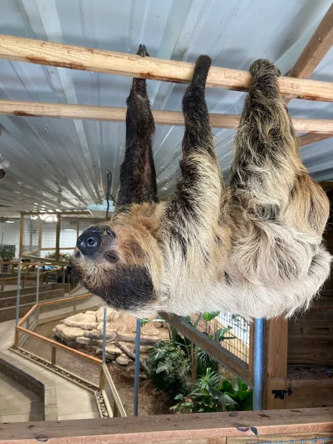 The Creature Conservancy