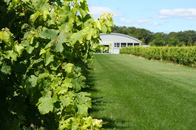 Saltwater Farm Vineyard