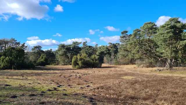 Tijdreisroute leewal