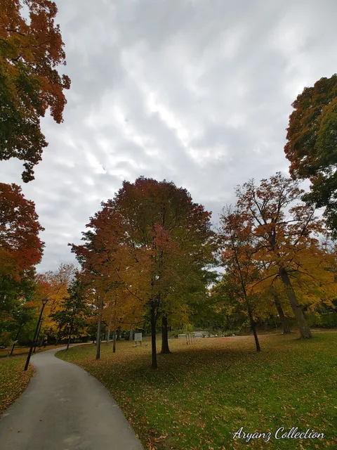 photo-1