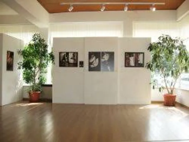 Galleria Civica Craffonara