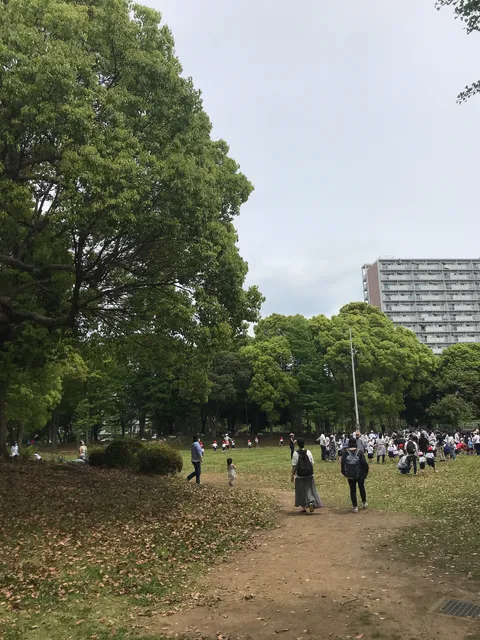 Konandai Central Park