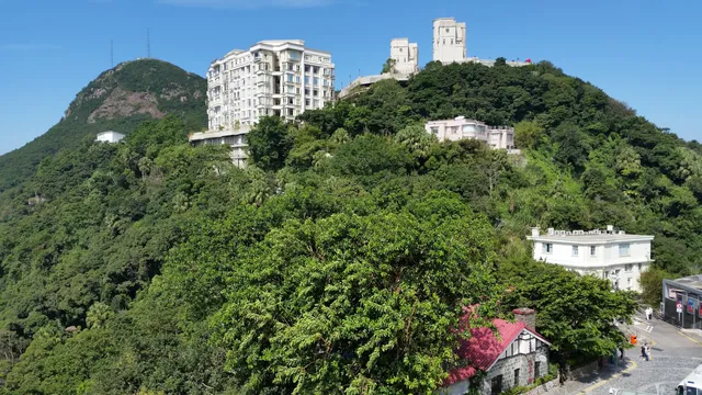 The Peak Neighbourhood